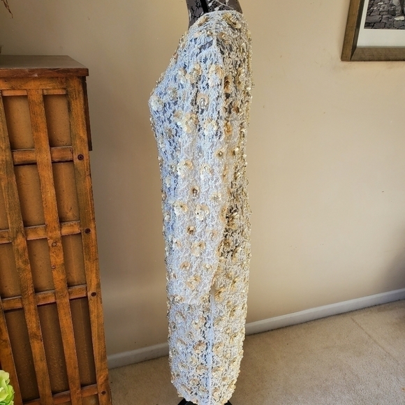 Gorgeous lace beaded embelished dress sz. 4 - Picture 2 of 7